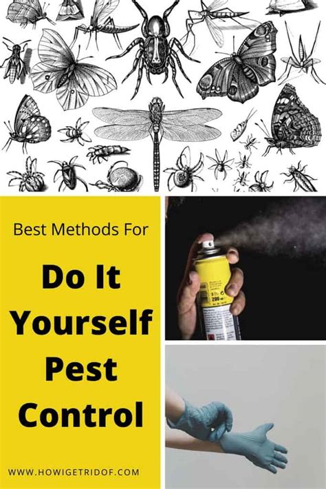 Do it yourself pest contro. Things To Know About Do it yourself pest contro. 